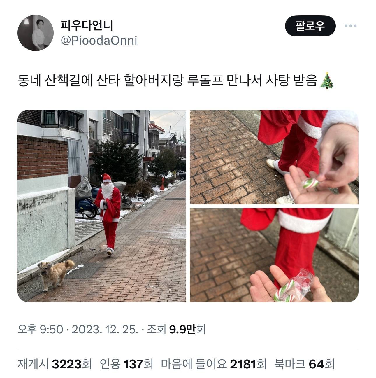 동네 산책길에 산타 할아버지랑 루돌프 만나서 사탕 받음🎄 | 인스티즈