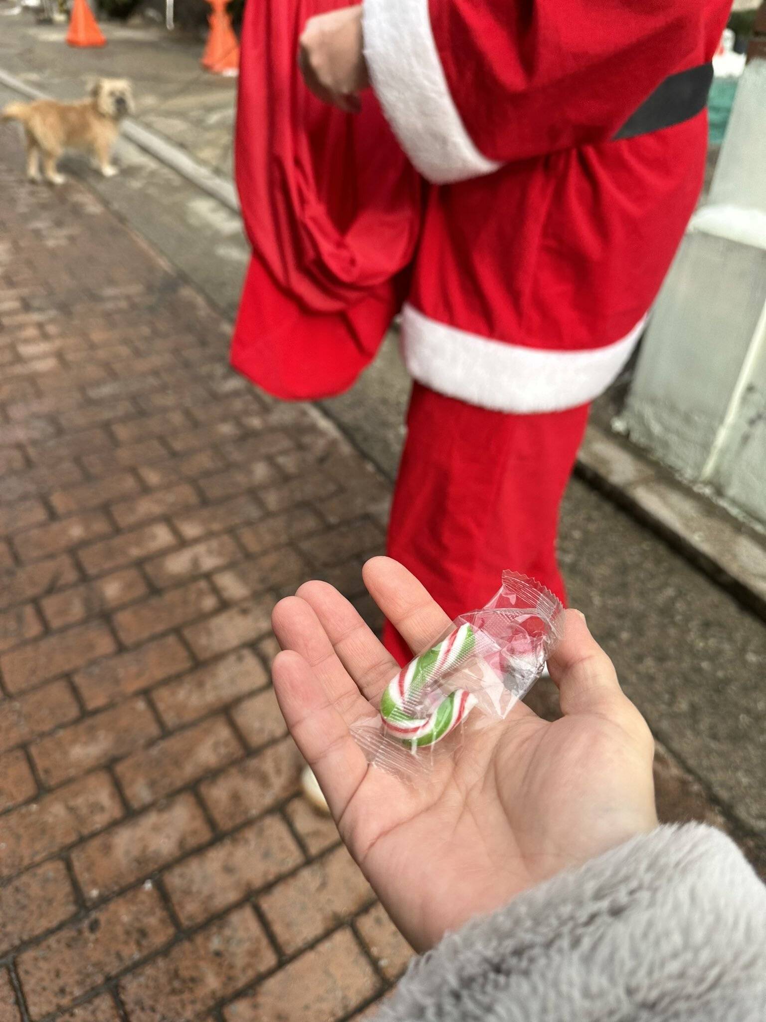 동네 산책길에 산타 할아버지랑 루돌프 만나서 사탕 받음🎄 | 인스티즈