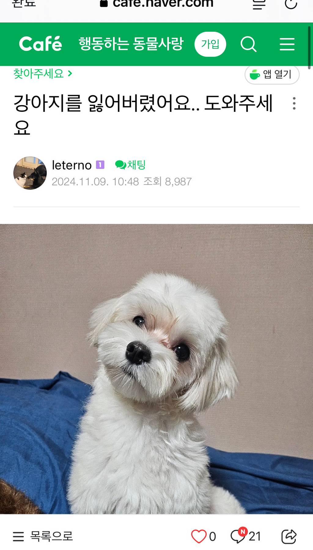 젊은 남자가 할아버지랑 산책 중인 강아지 납치함 | 인스티즈
