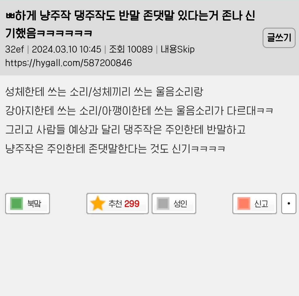 강아지는 주인에게 반말을 하고 고양이는 의외로 존대말을 쓴다 | 인스티즈