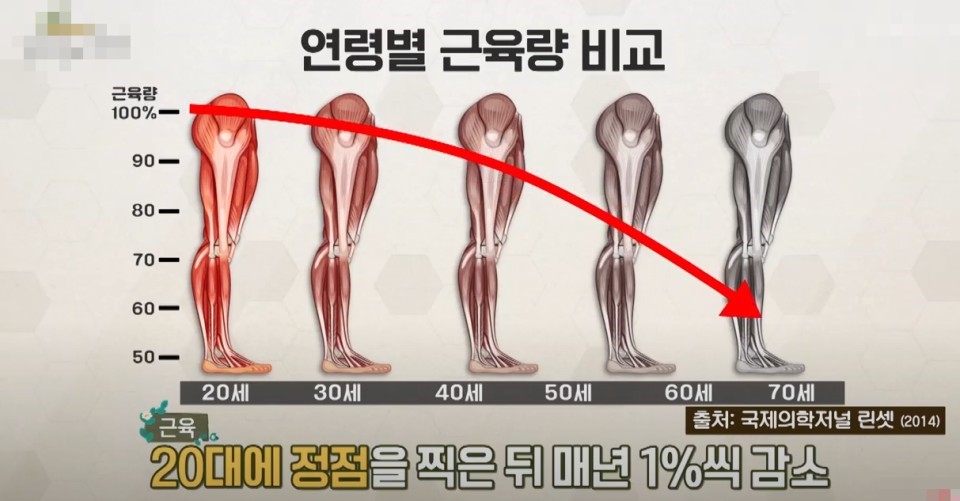 근육 1kg은 돈으로 산정하면 얼마일까? | 인스티즈