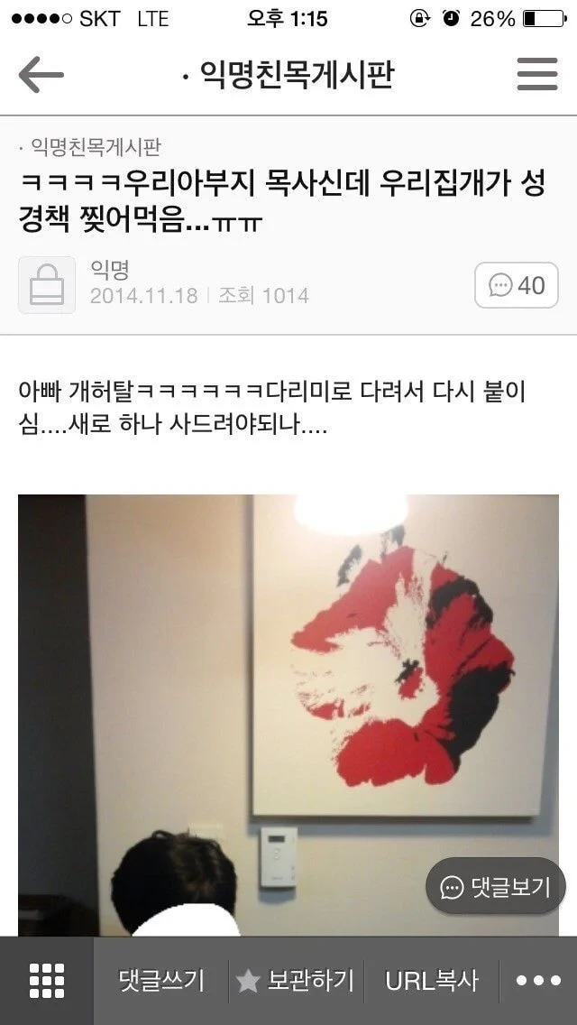 우리집 개가 성경책 찢어먹음...ㅠ | 인스티즈
