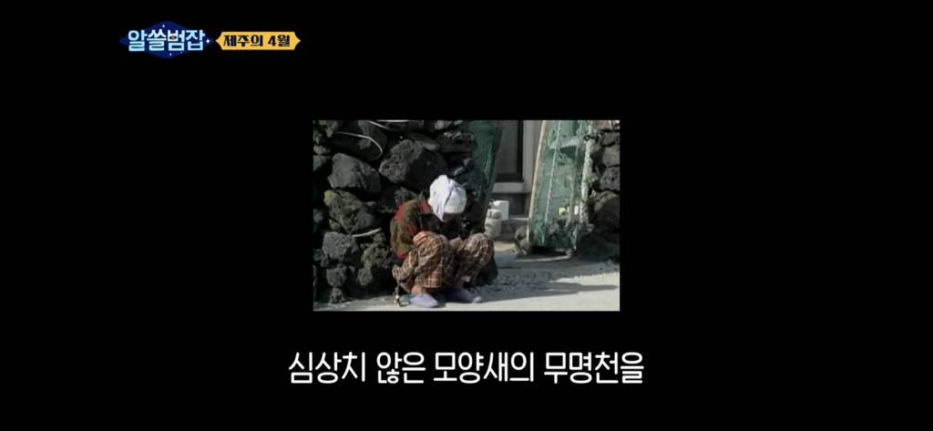 아들은 가슴을 정통으로 맞아 심장이 다 나왔어요 (제주 4.3) | 인스티즈