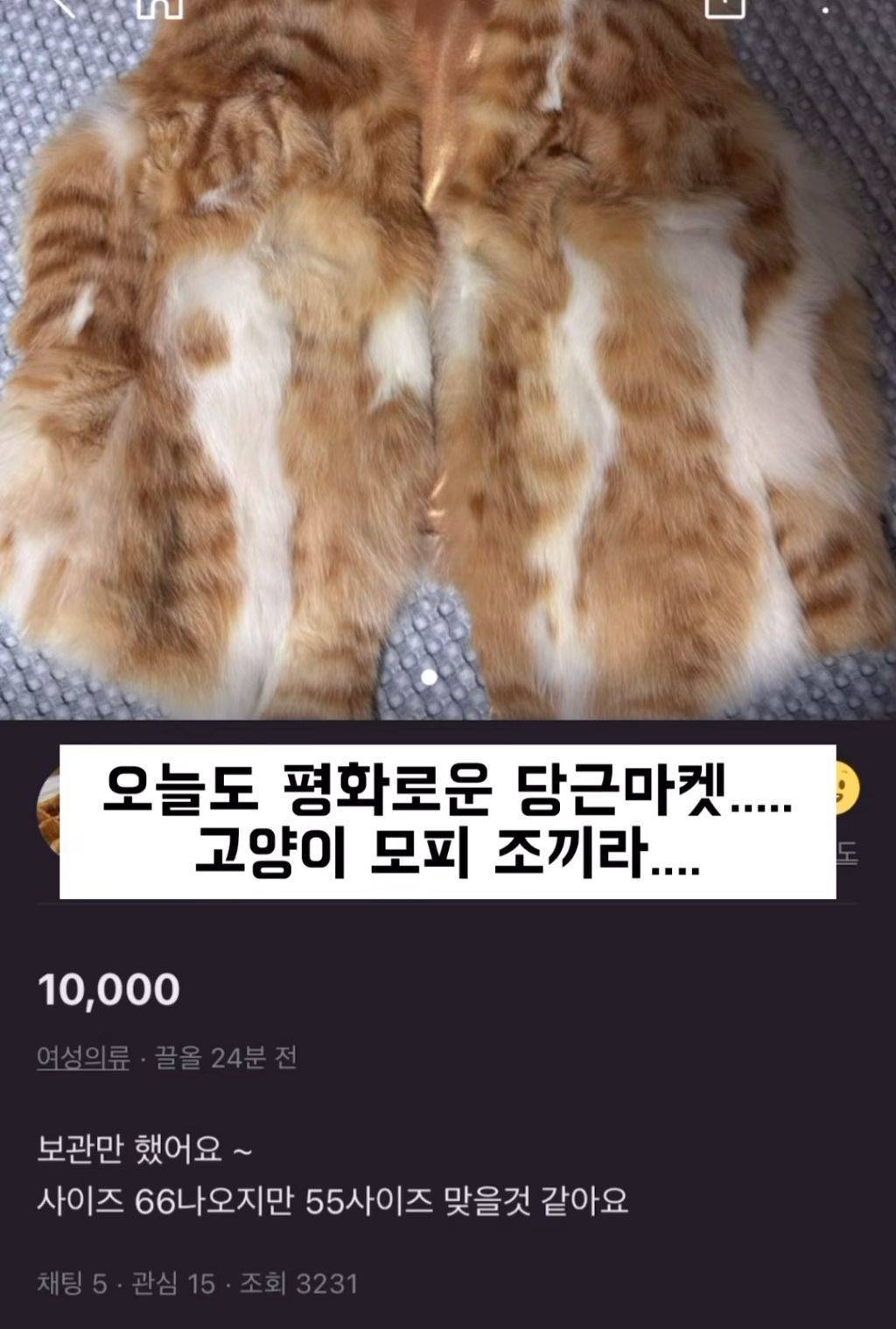 당근에 올라온 고양이 모피조끼 | 인스티즈