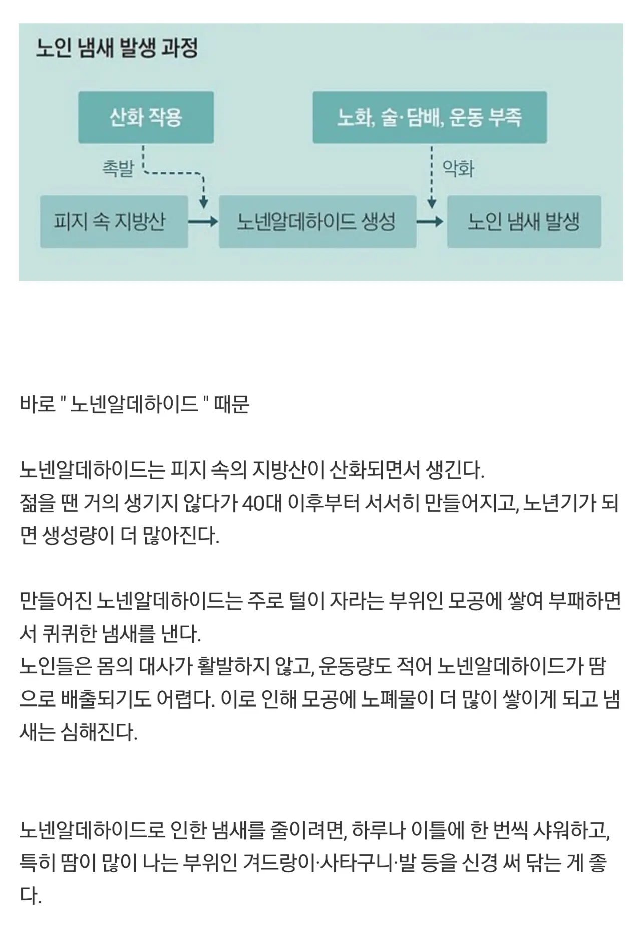 노인들에게 특유의 냄새가 나는 이유 | 인스티즈