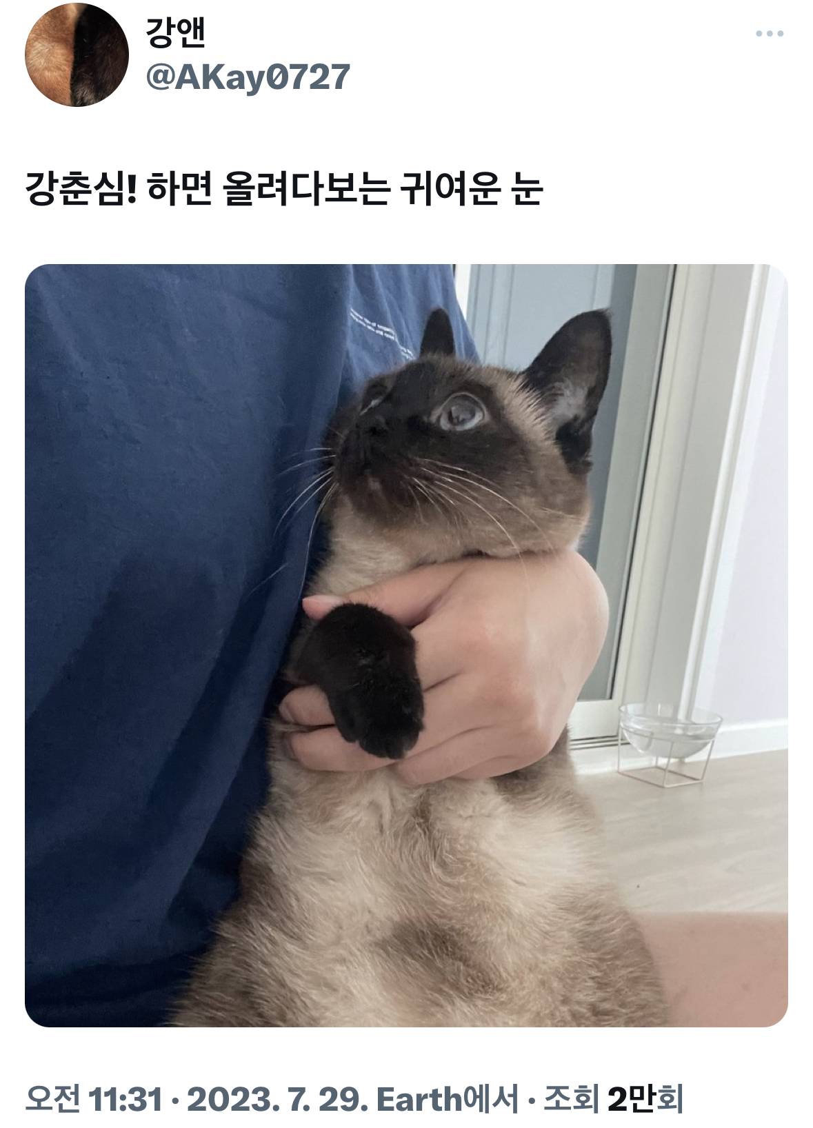 표정뭐야 누워있는사람 첨보나.twt | 인스티즈