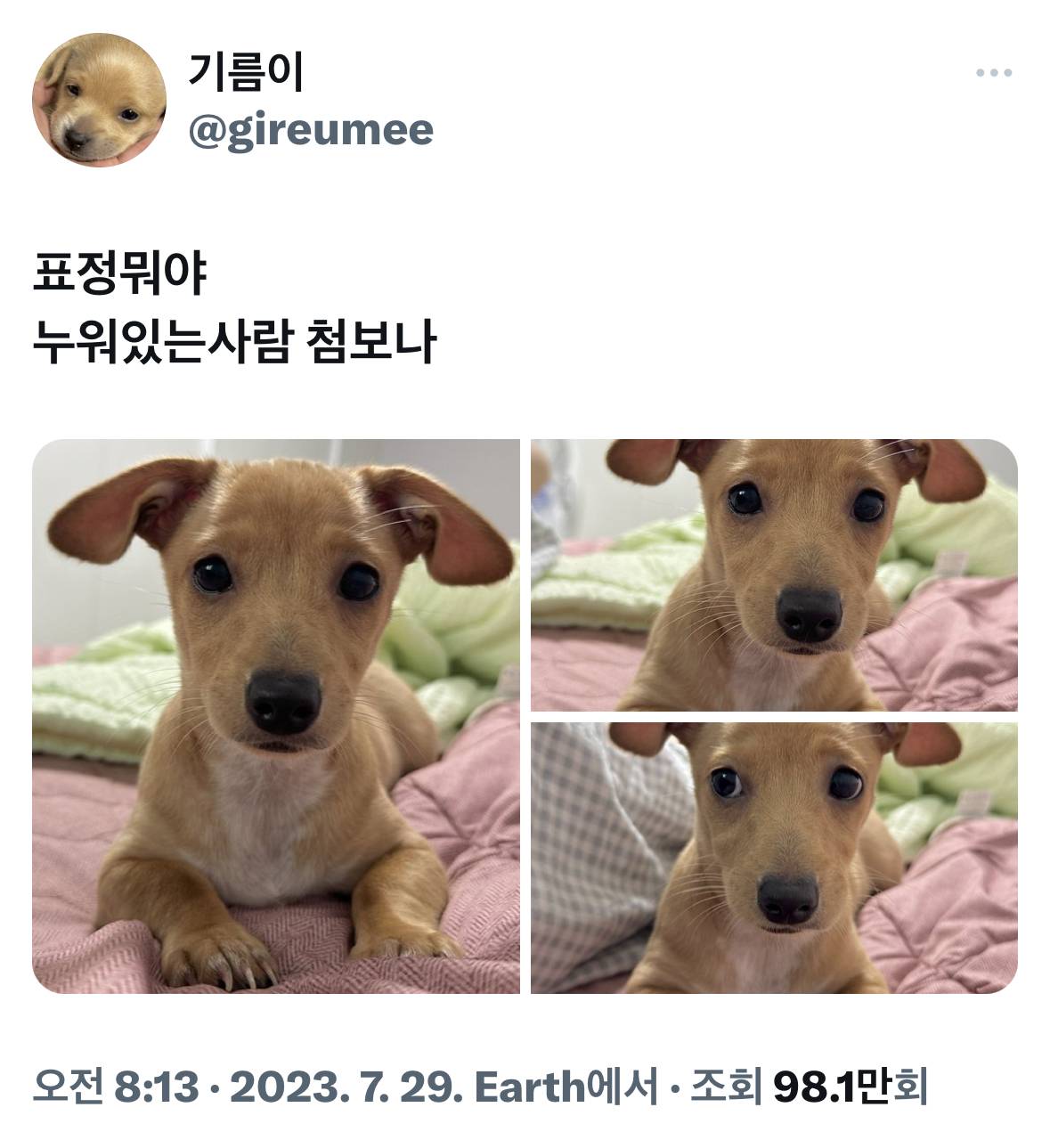 표정뭐야 누워있는사람 첨보나.twt | 인스티즈