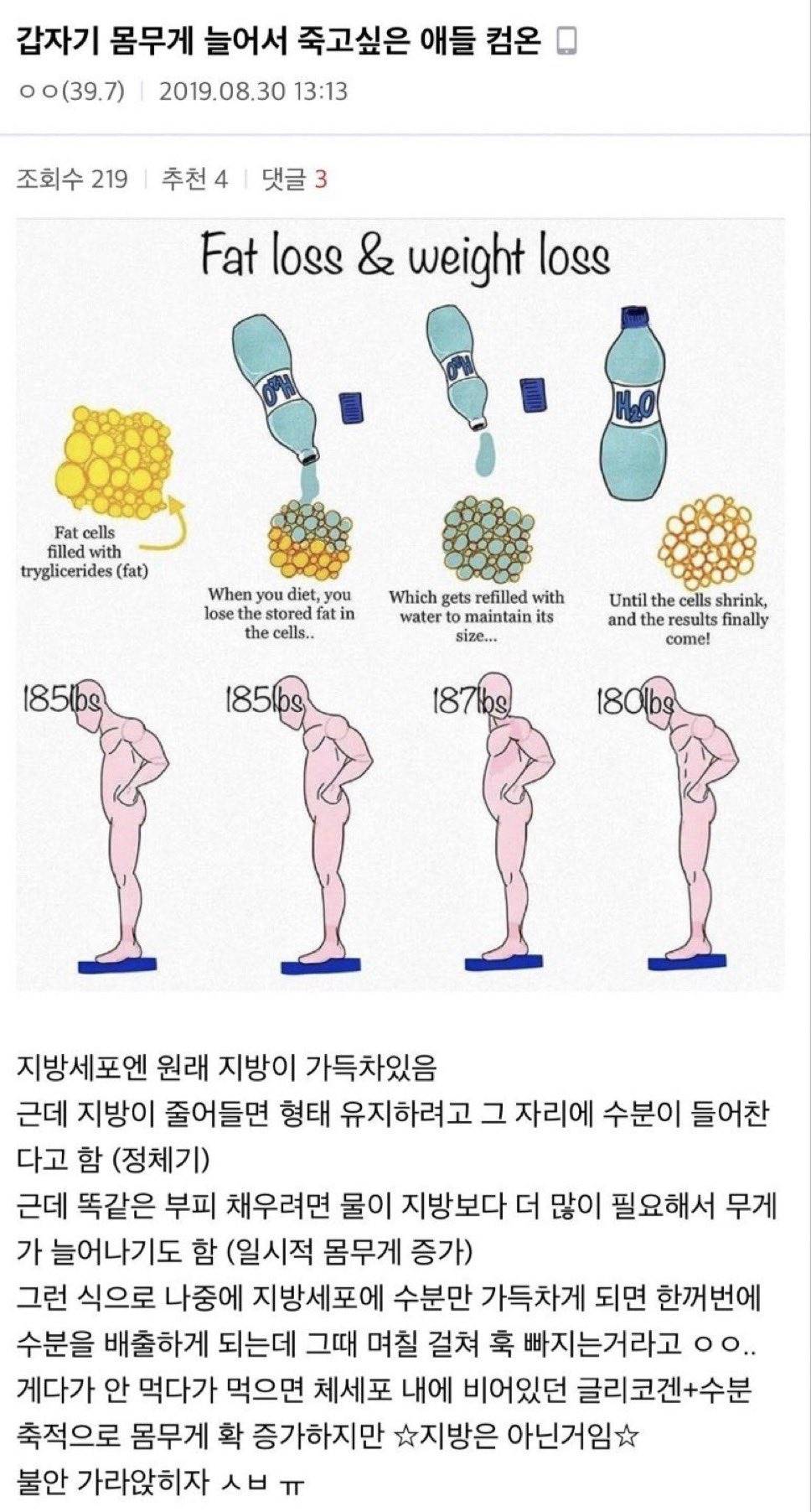 다이어트하면서 지방이 줄어들면 그 자리엔 수분이 들어찬다.jpg | 인스티즈