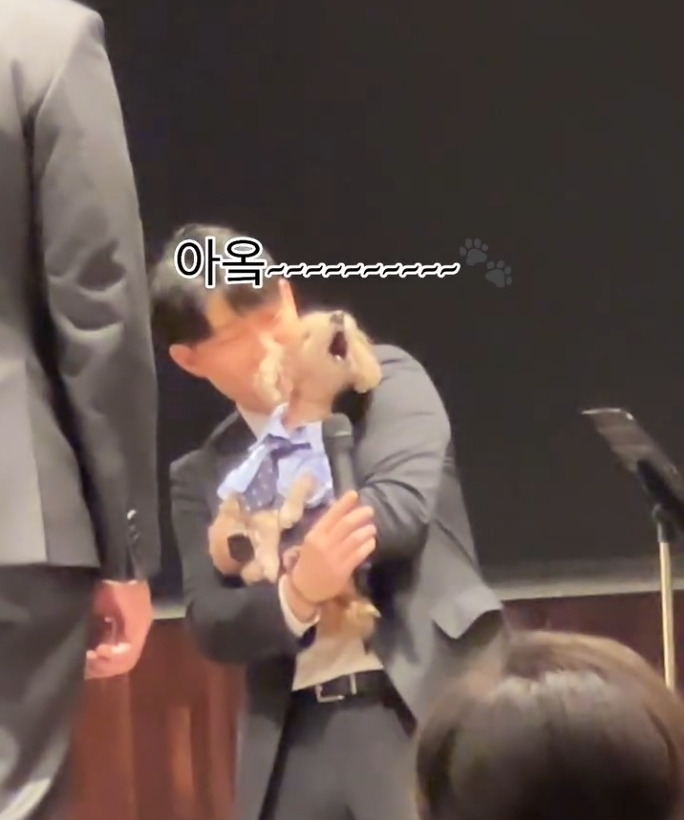 형 결혼식에서 축가 부르는 강아지🐶 | 인스티즈
