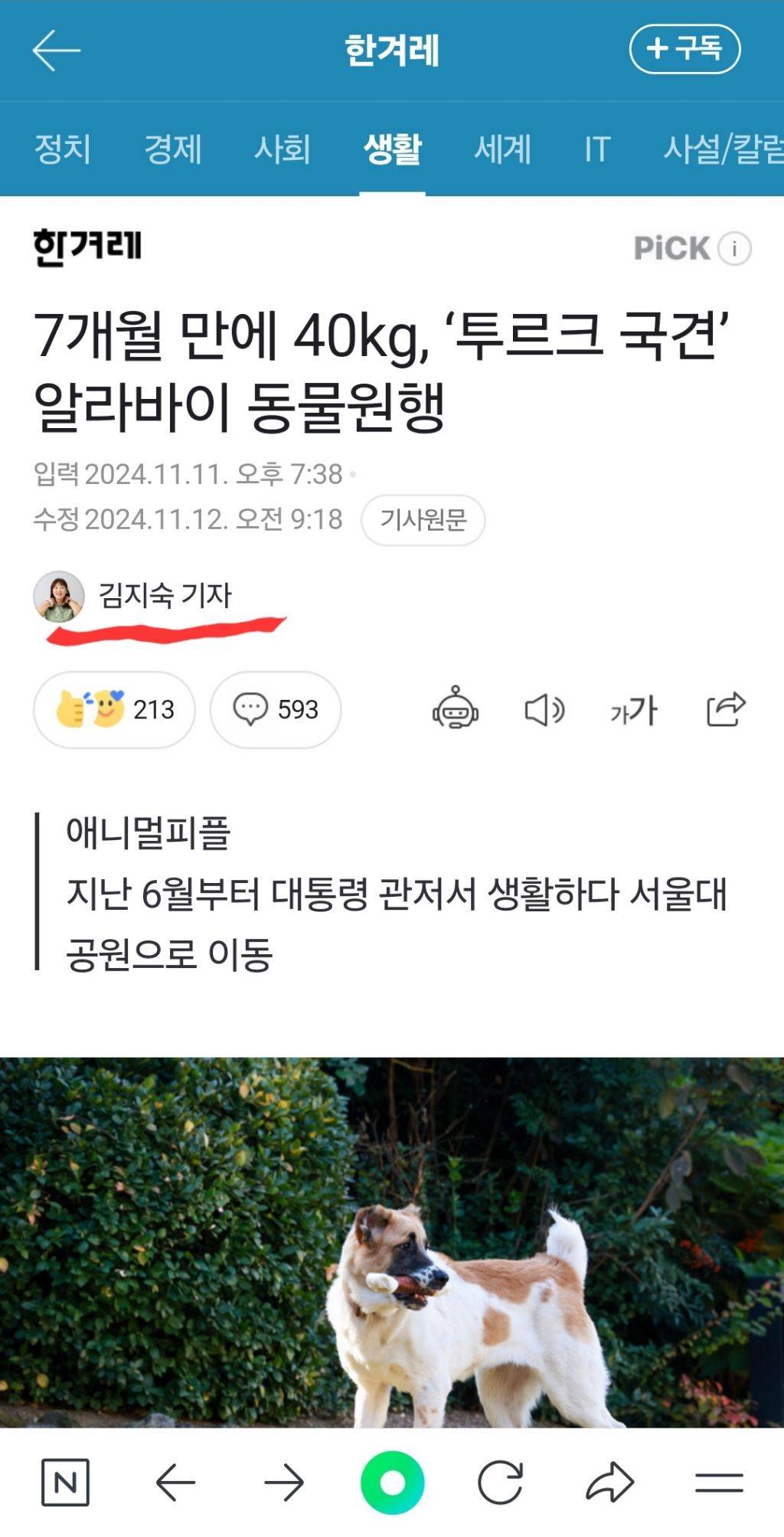 한겨레신문 김지숙 기자 | 인스티즈