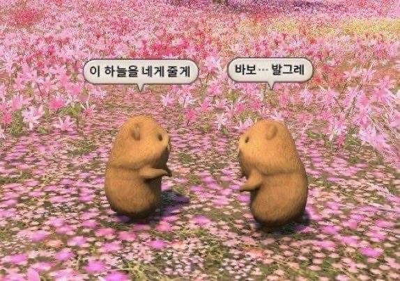 그럼 그 아이가 너의 행운의 펭귄인거야 | 인스티즈