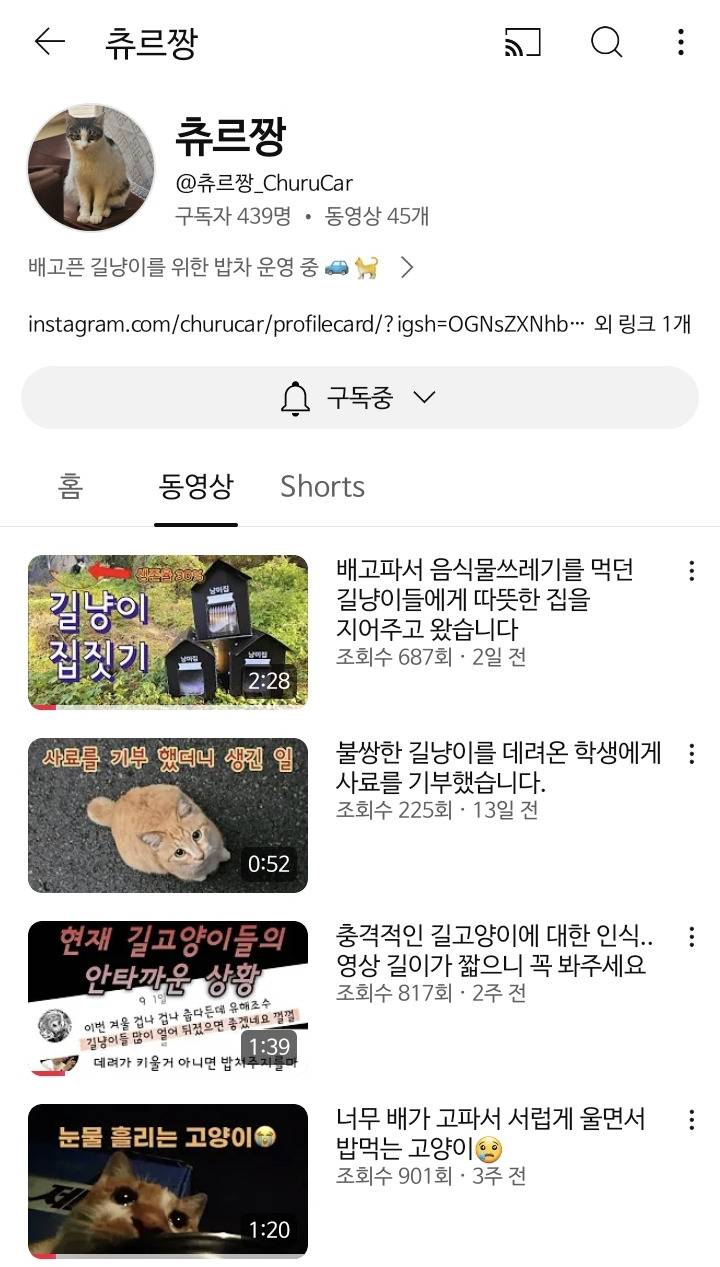 엉엉 울면서ㅠㅠㅜㅜㅠ 허겁지겁 사료먹는 길고양이ㅠㅠ 마음박박 찢김주의 | 인스티즈