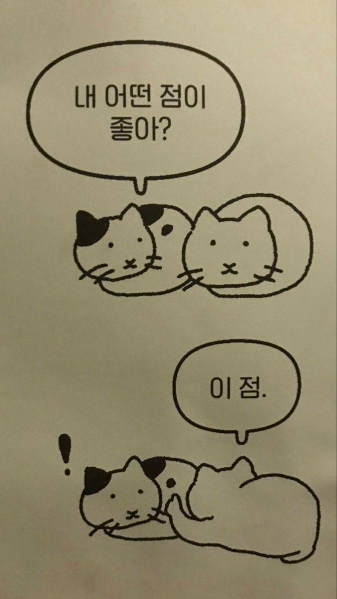 그럼 그 아이가 너의 행운의 펭귄인거야 | 인스티즈