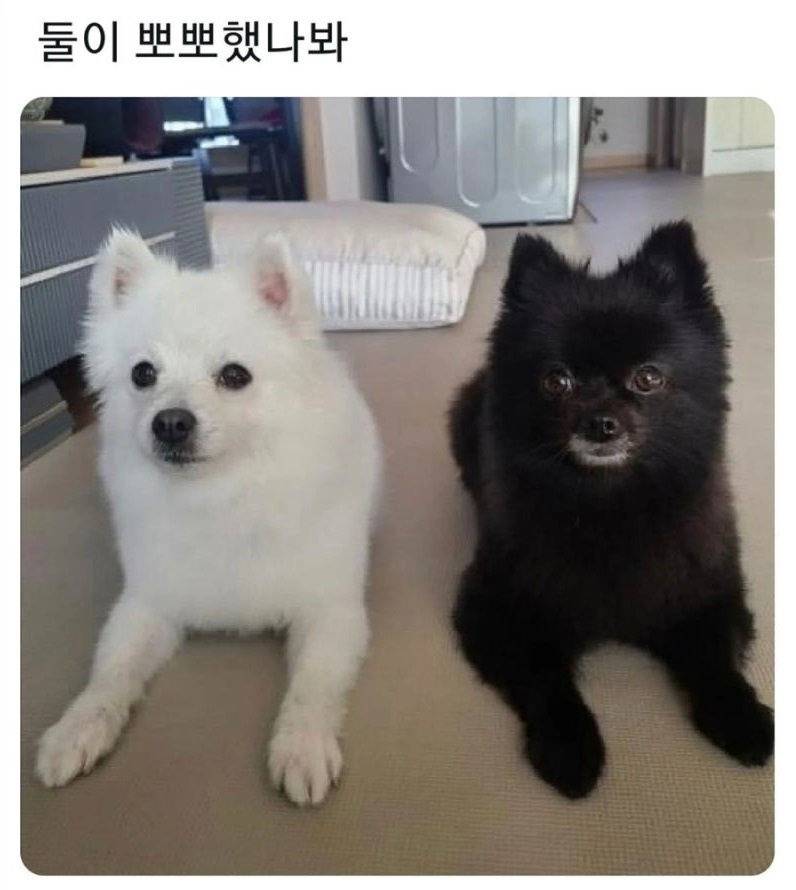 둘이 뽀뽀했나봐.jpg | 인스티즈