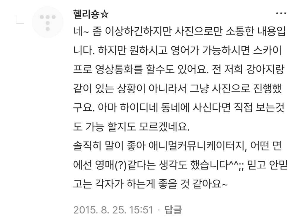 애니멀커뮤니케이션한테 의뢰해본 후기 | 인스티즈