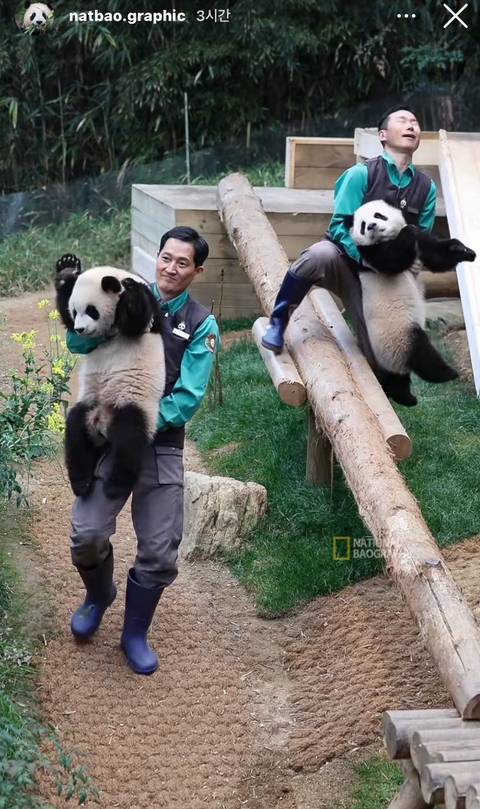 같은 배에서 나왔는데 너무 다른 쌍둥이 판다 | 인스티즈