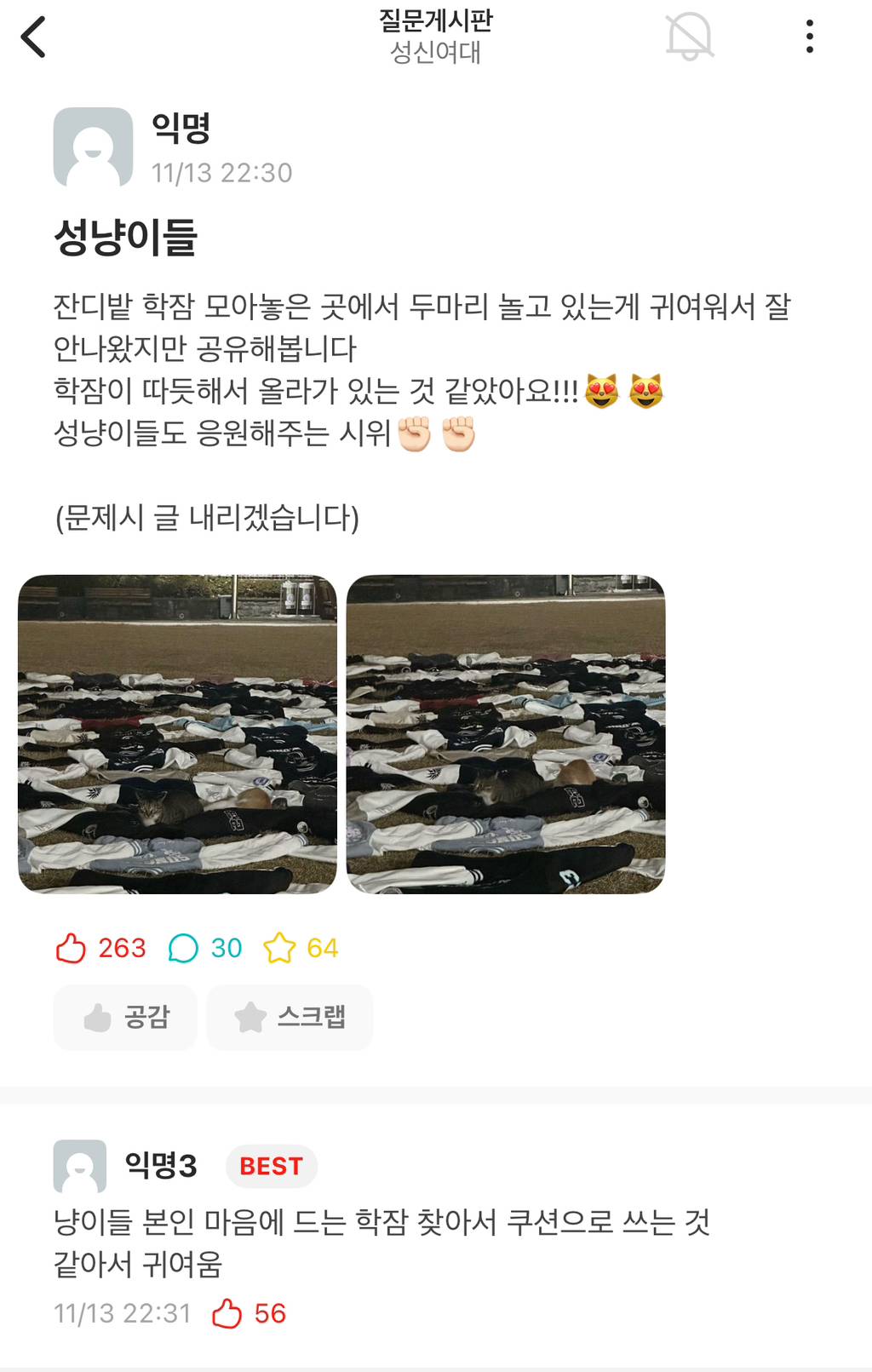 고양이들도 응원하는 여대시위 | 인스티즈