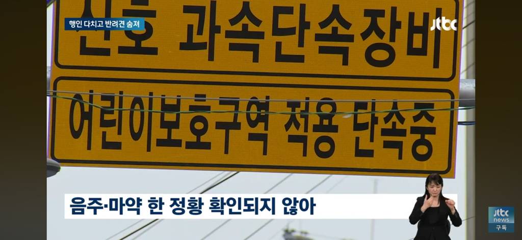 운전자 돌진에 반려견 사망…오열하는 견주…… | 인스티즈