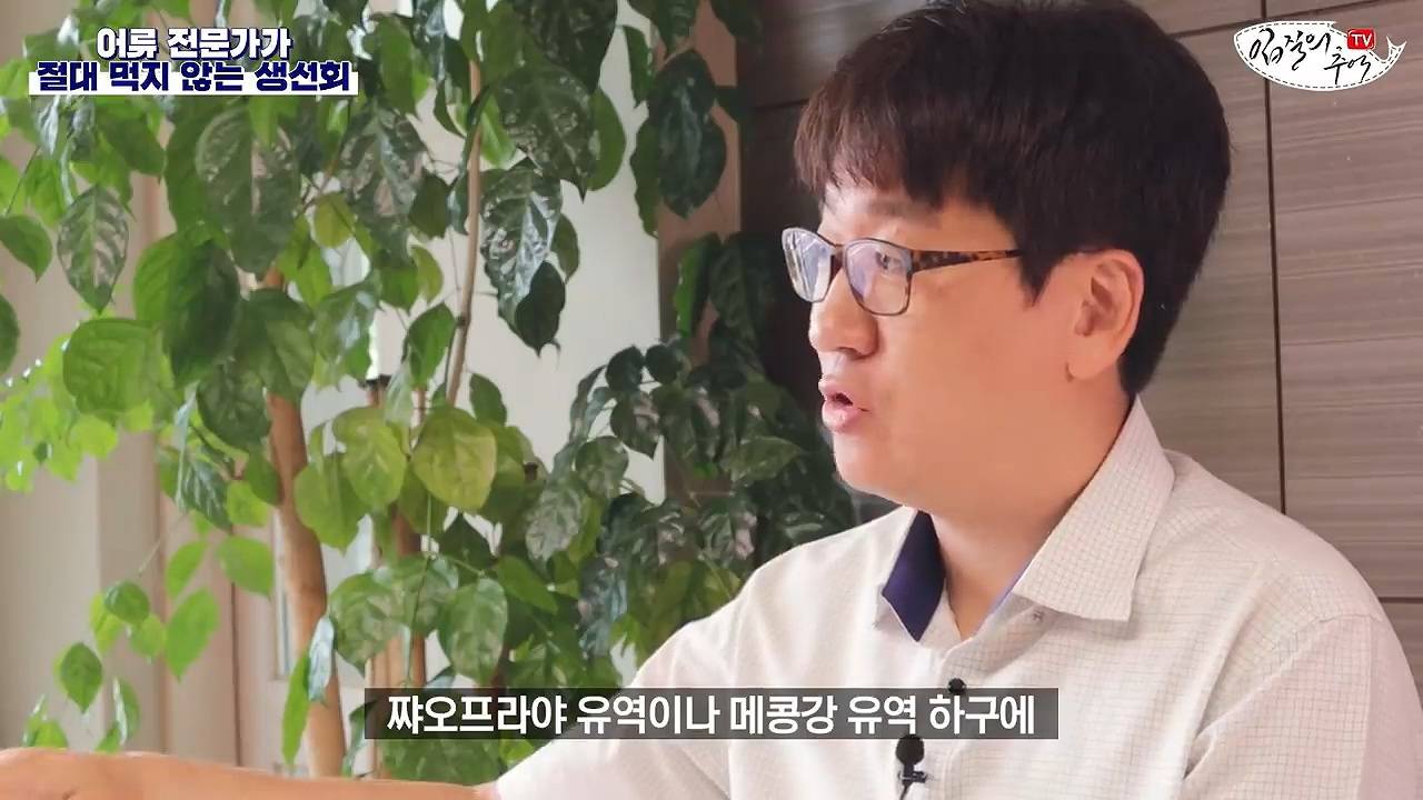 어류 전문가가 꼽은 절대 먹지 않는 생선회 7개 | 인스티즈