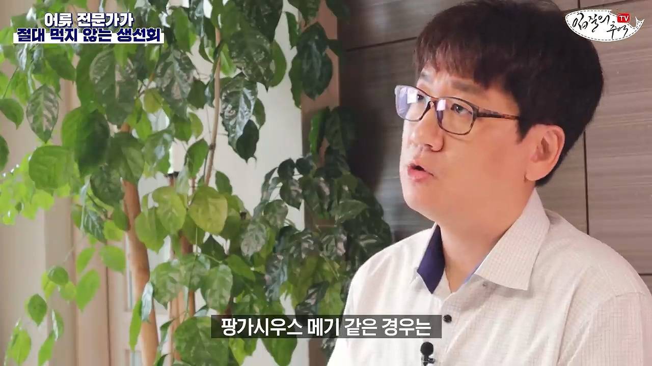 어류 전문가가 꼽은 절대 먹지 않는 생선회 7개 | 인스티즈