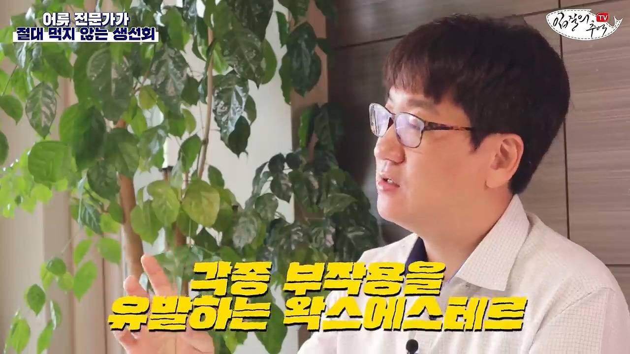 어류 전문가가 꼽은 절대 먹지 않는 생선회 7개 | 인스티즈