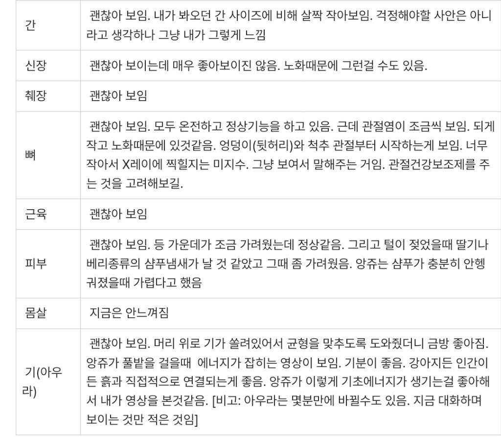 애니멀커뮤니케이션한테 의뢰해본 후기 | 인스티즈