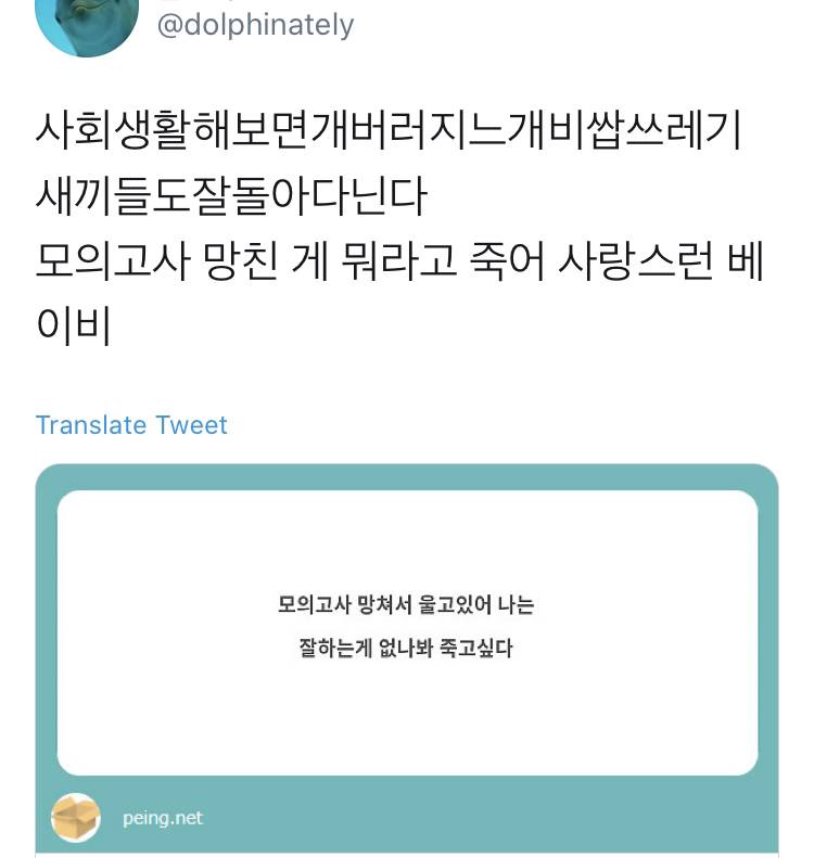 모의고사 망친 게 뭐라고 죽어 사랑스런 베이비.twt | 인스티즈