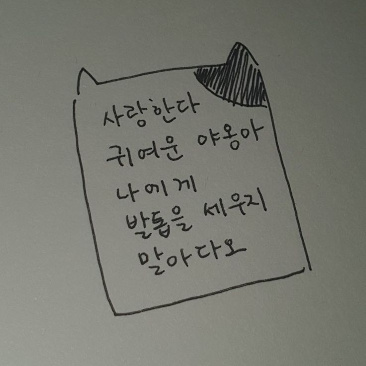 그 고양이는 이름이 많았어 | 인스티즈