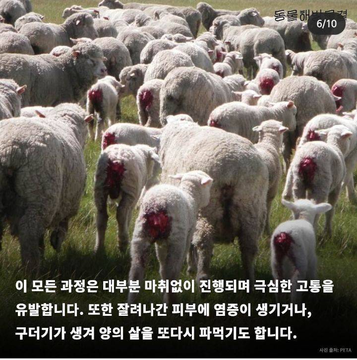 고통없는 겨울 옷 소재 알려드림!! | 인스티즈