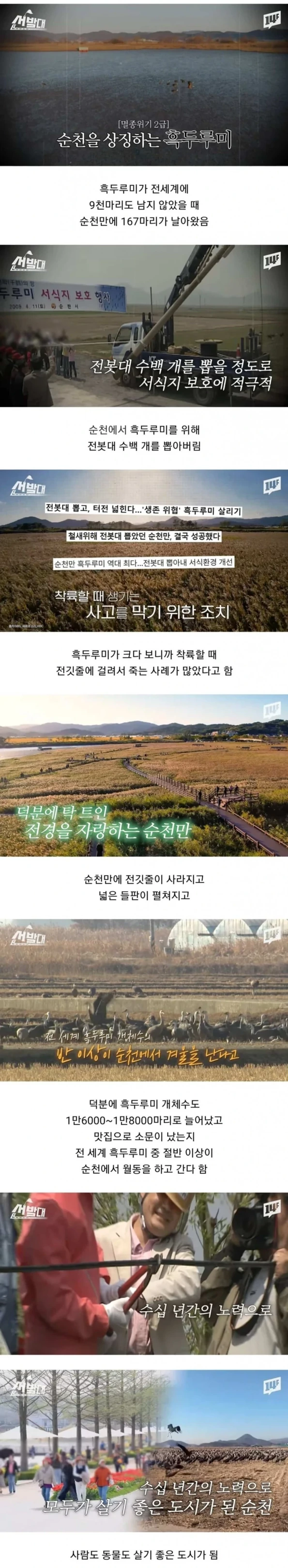 순천시가 전봇대 수백개를 뽑아버린 이유 | 인스티즈