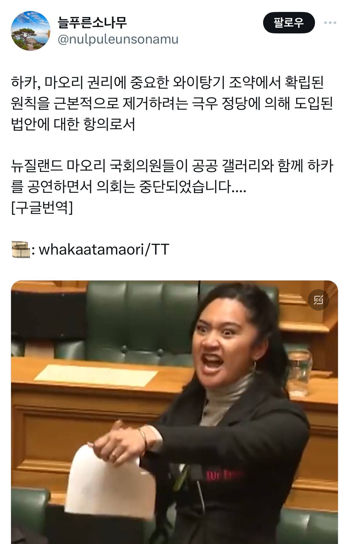하카 소리에 창백한 얼굴로 쫄은 백인남자의원 얼굴을 보니 진짜 마나 쓰는 전장의 함성같음.twt | 인스티즈