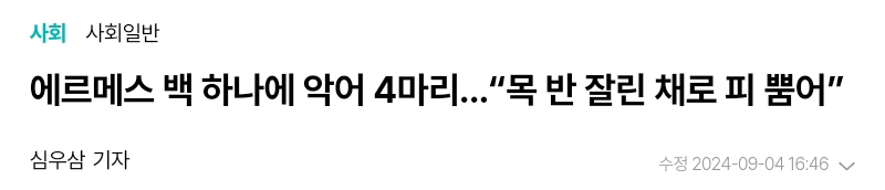 에르메스 백 하나에 악어 4마리..."목 반 잘린 채로 피 뿜어” | 인스티즈