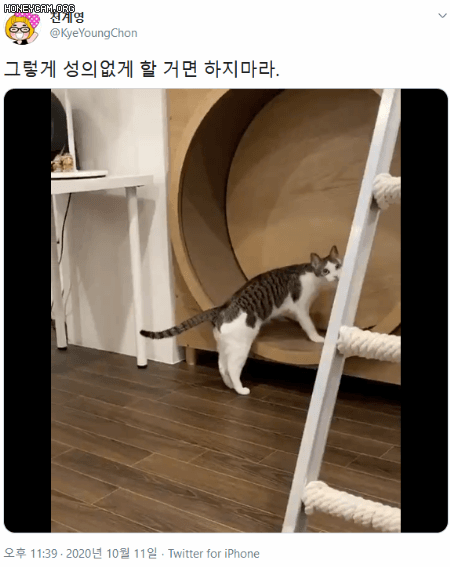 캔 뚜껑 잘못 땄다고 어떻게 설명해주지?ㅠㅠ | 인스티즈