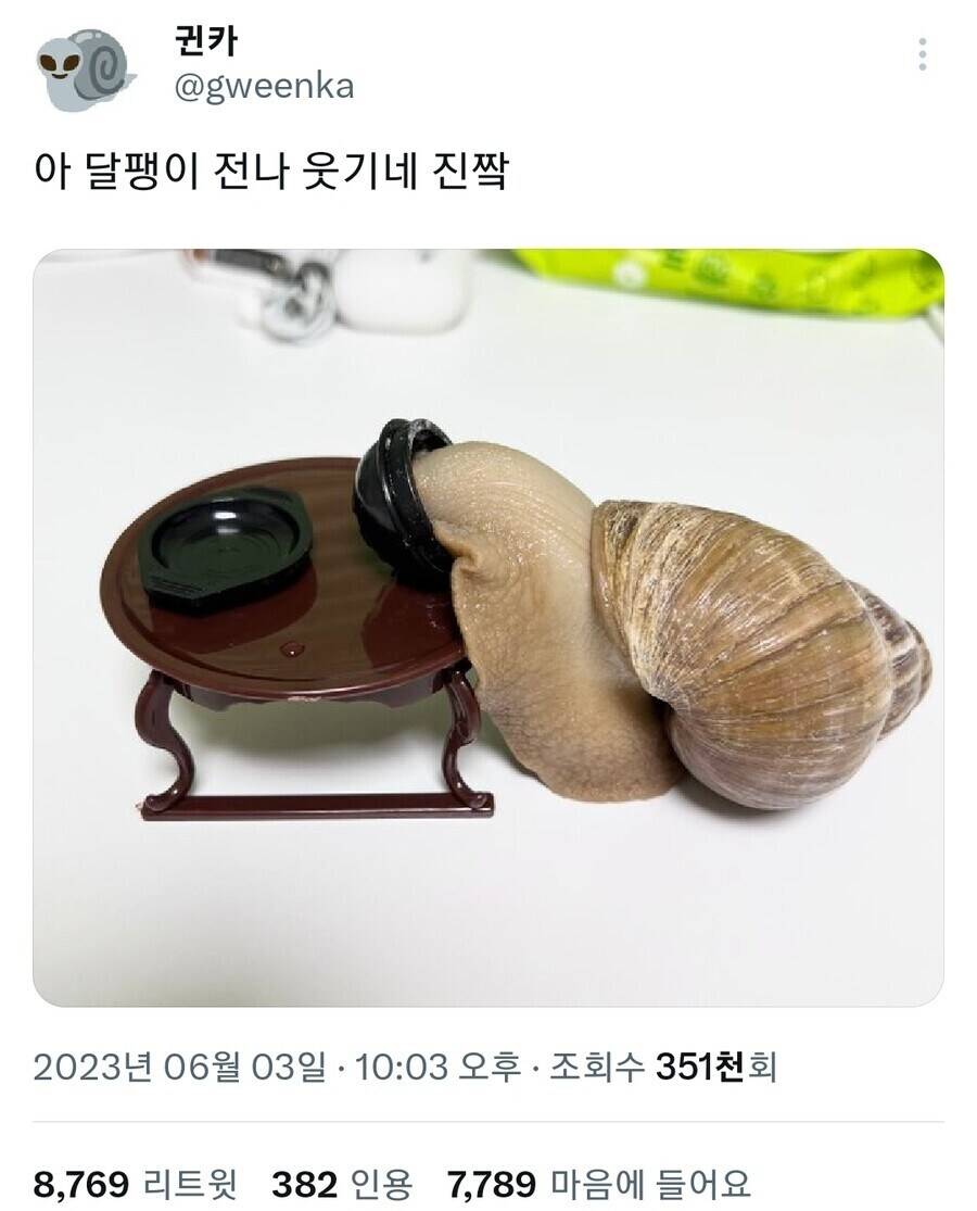 누가 봐도 한국 달팽이 | 인스티즈