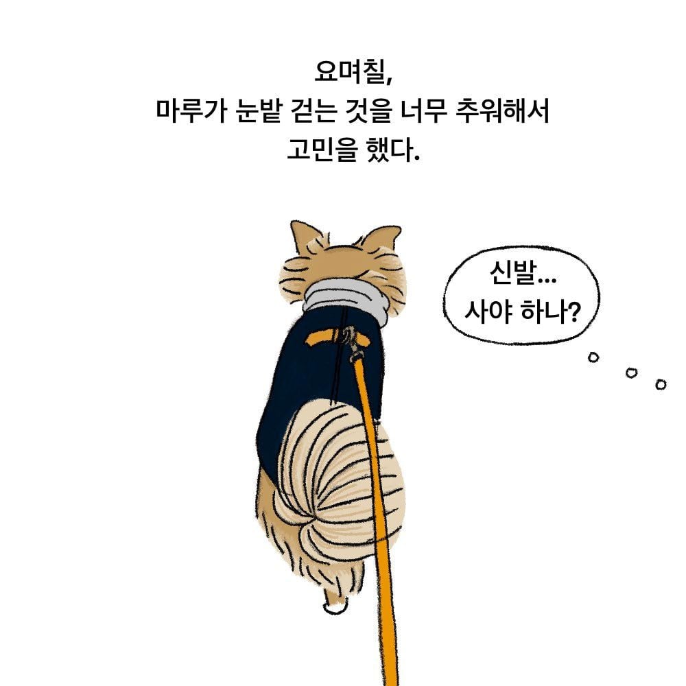 아저씨가 강아지 신발에 관심을 가진 이유.twt 🐶🥺 | 인스티즈