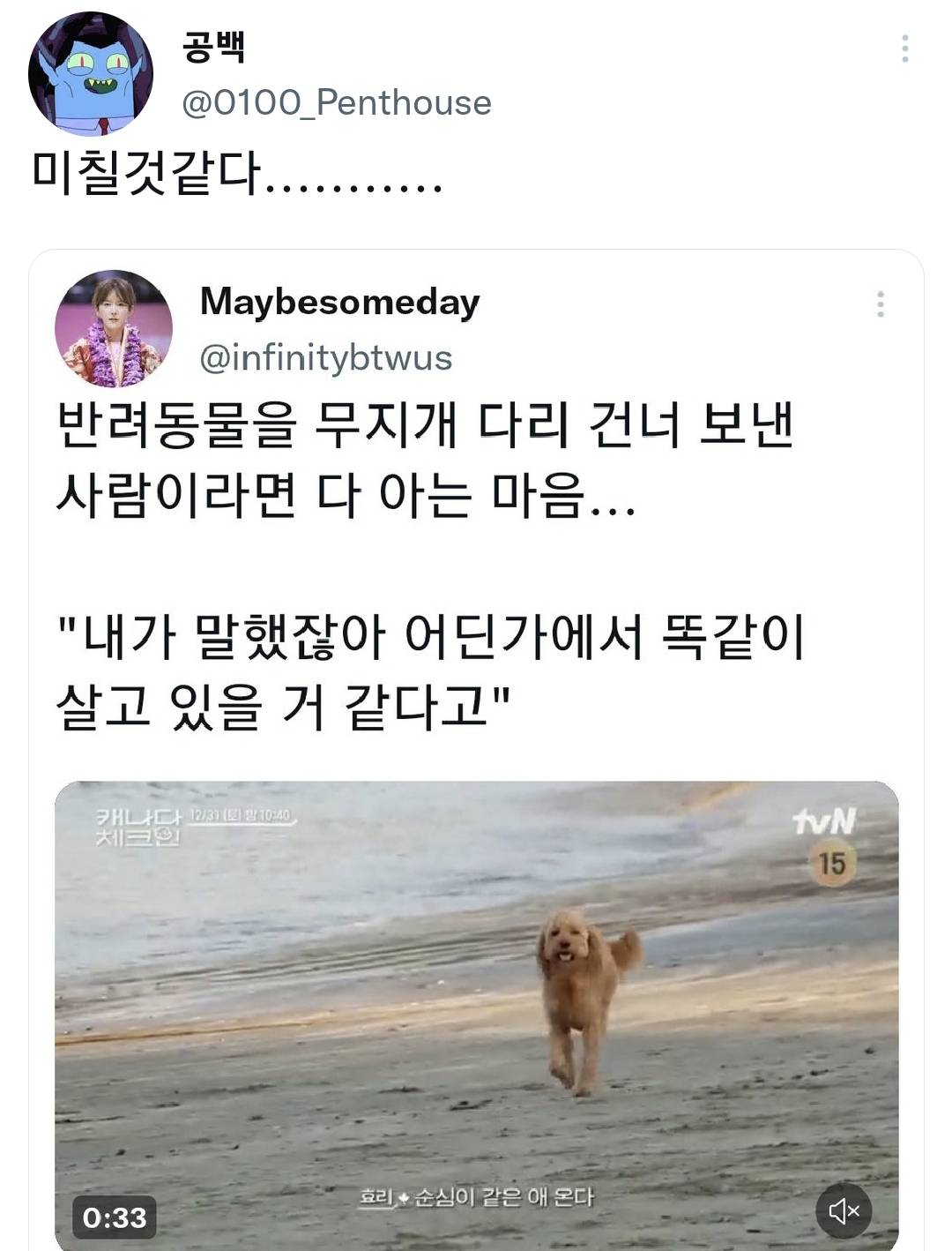 아저씨가 강아지 신발에 관심을 가진 이유.twt 🐶🥺 | 인스티즈