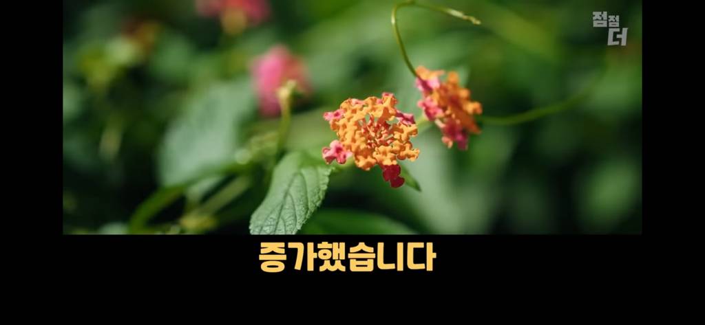 레깅스 진짜로 입는거....? | 인스티즈