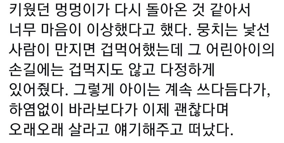 아저씨가 강아지 신발에 관심을 가진 이유.twt 🐶🥺 | 인스티즈