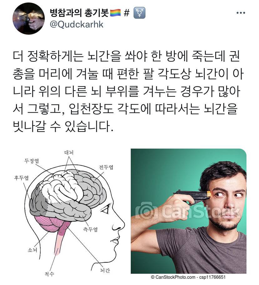 관자놀이에 총을 쏘면 즉사하는 경우가 잘 없다.twt | 인스티즈