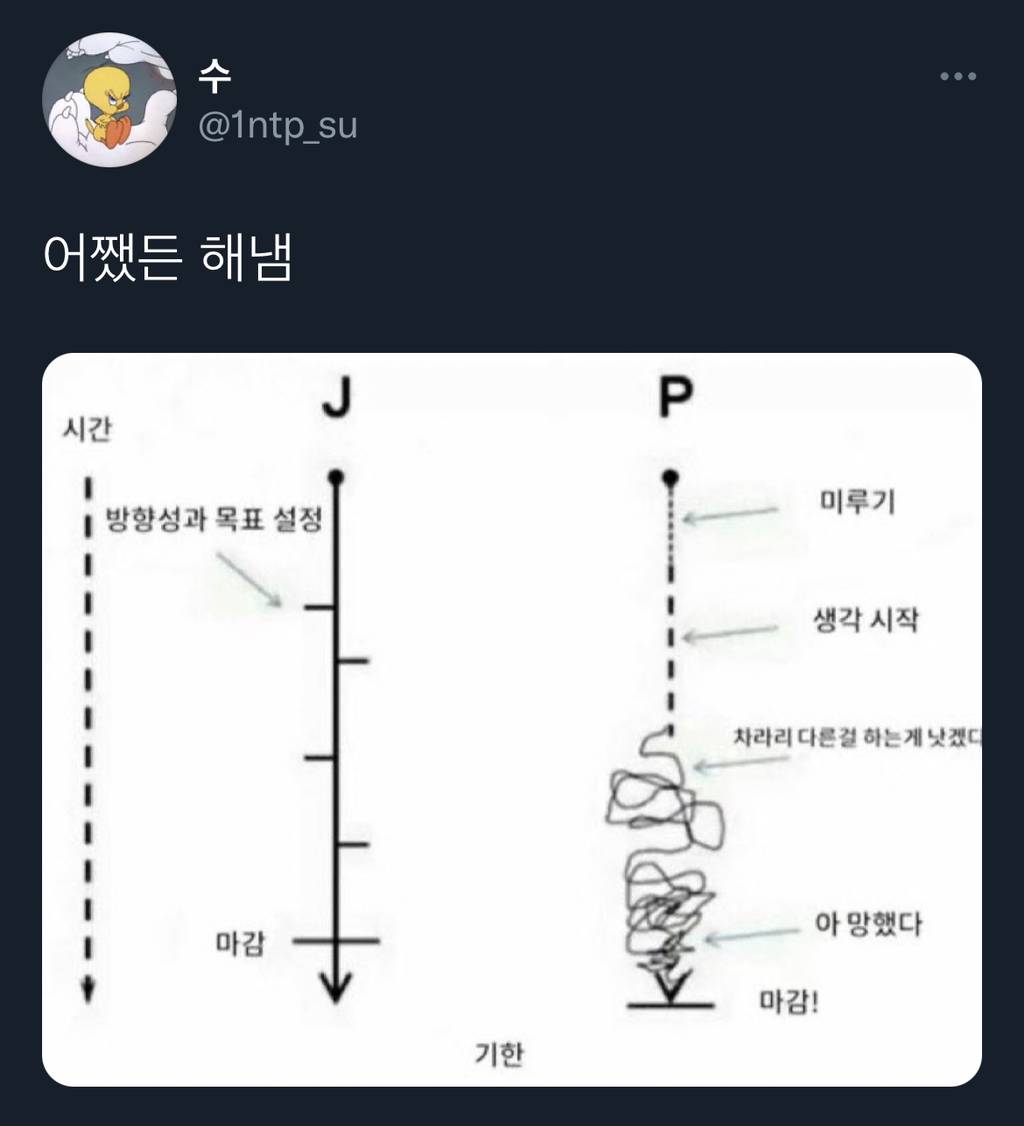 P의 장점 받습니다.. 🤔.twt | 인스티즈