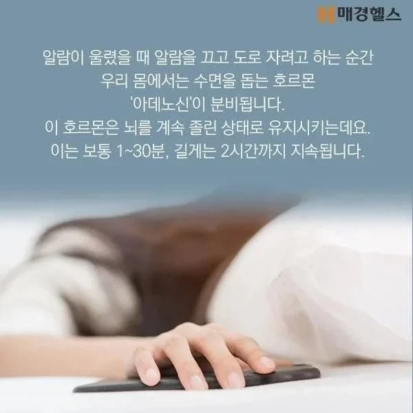 아침의 5분간격 알람이 위험한 이유 | 인스티즈