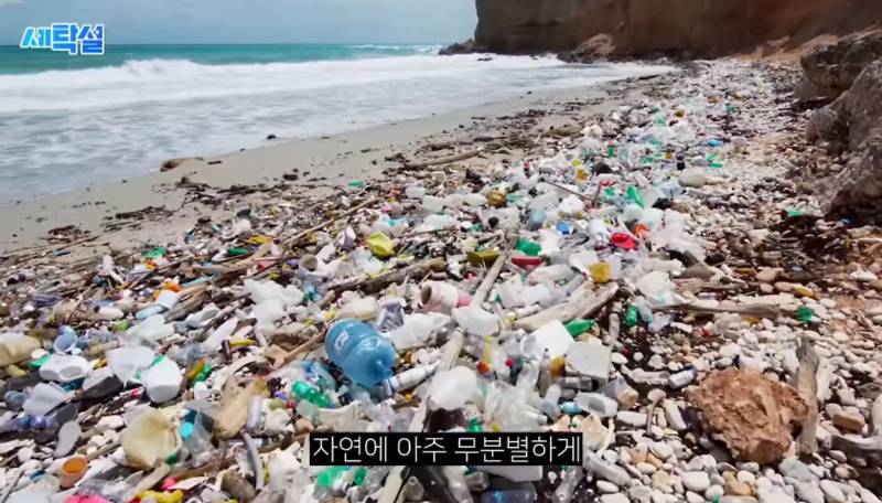 재활용이 안되더라도 플라스틱 분리수거를 하면 좋겠다는 고려대 교수 | 인스티즈