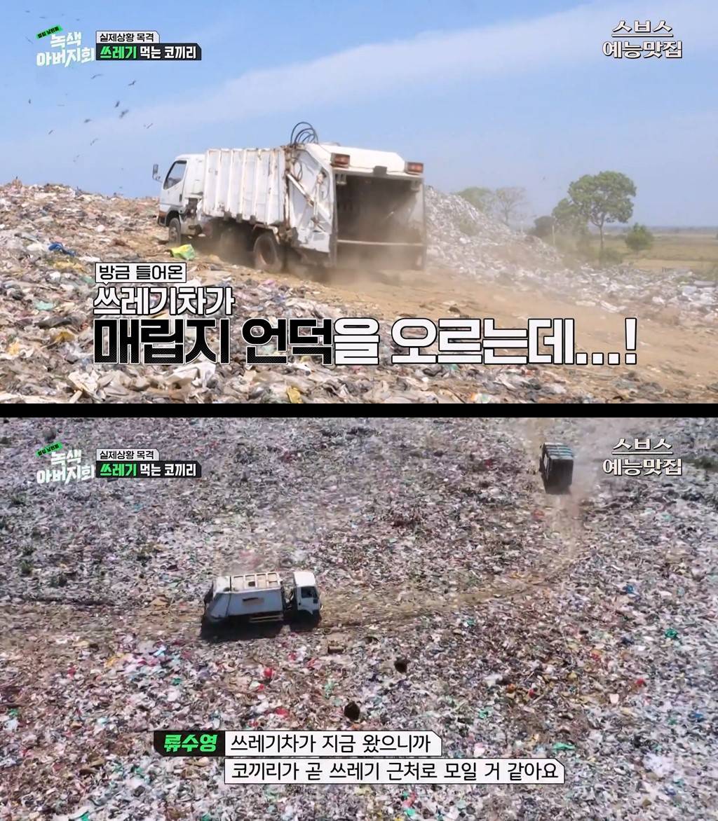 마약처럼 쓰레기에 중독된 코끼리들.jpg | 인스티즈