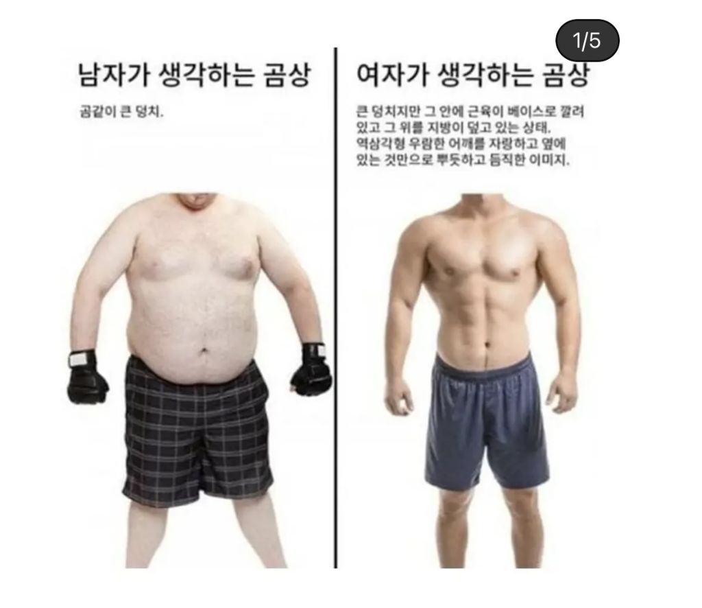 남자 곰상 여자 곰상 | 인스티즈