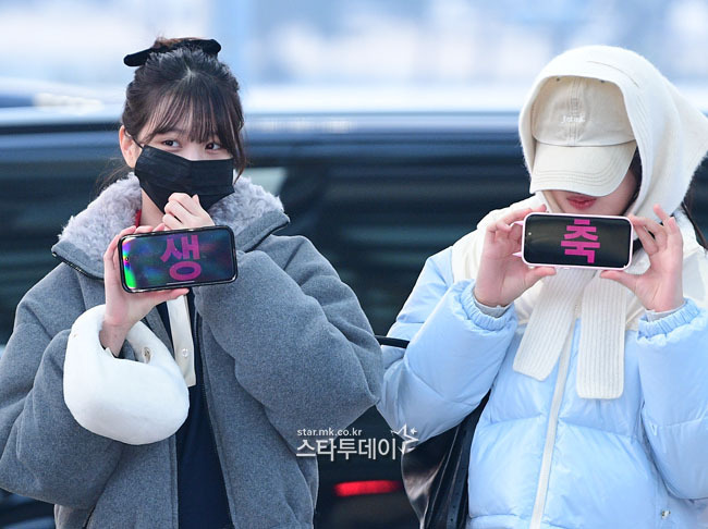 오늘자 리즈 생일 축하하는 아이브 일본 출국 기사사진.jpg | 인스티즈