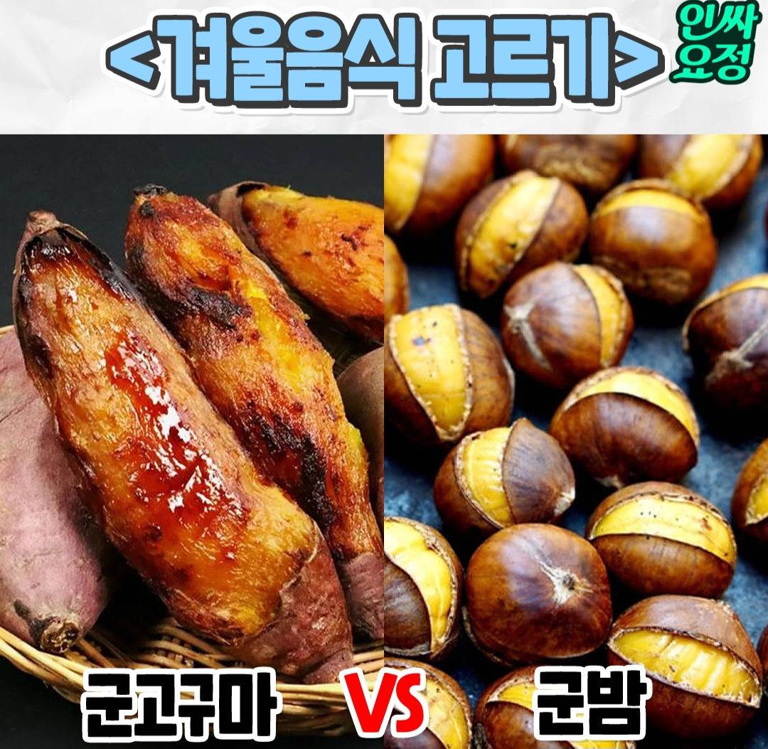 겨울음식 밸런스게임 | 인스티즈