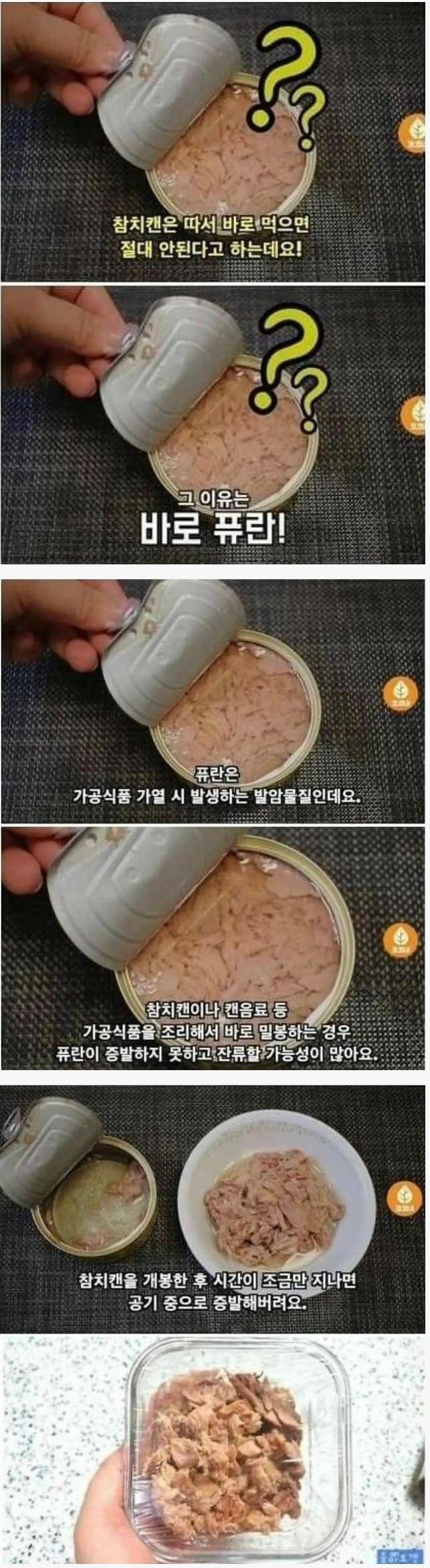 참치캔 따고 바로 먹으면 안되는 이유 | 인스티즈