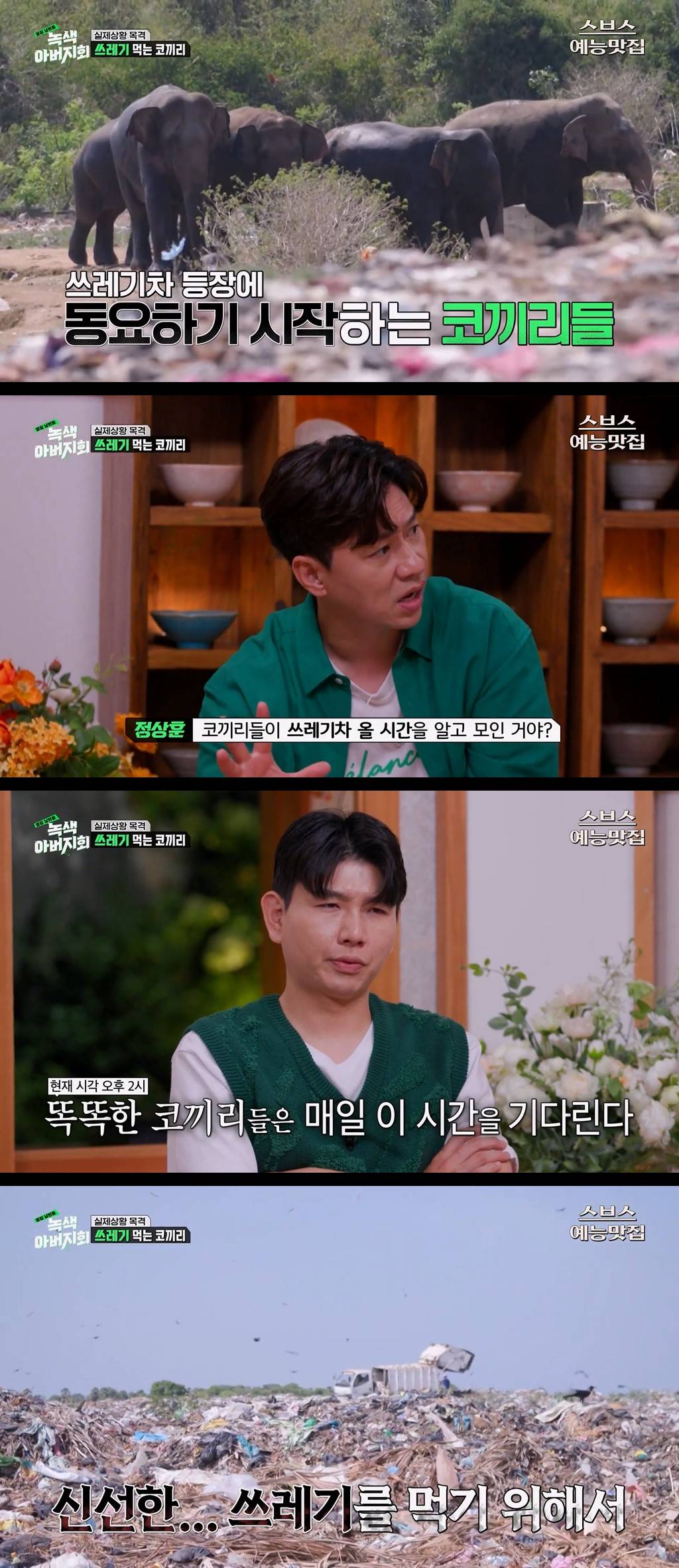 마약처럼 쓰레기에 중독된 코끼리들.jpg | 인스티즈