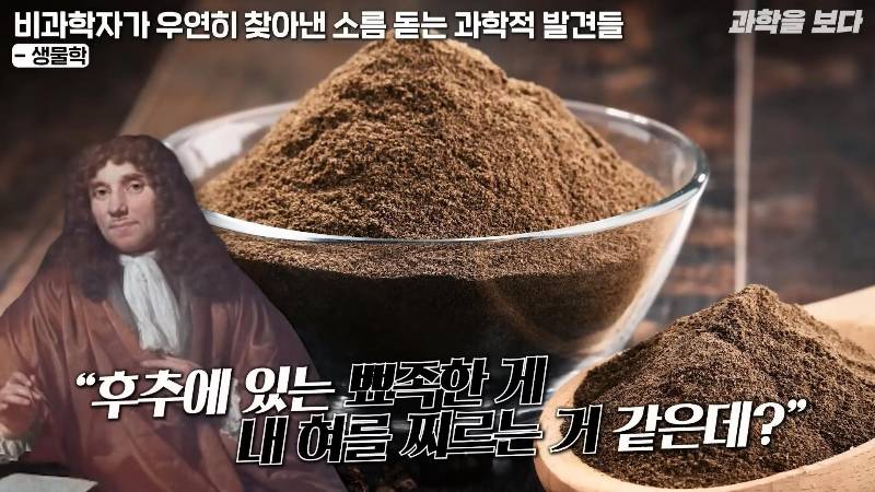 후추 먹다가 세계 최초로 미생물 발견하고 미생물학의 아버지가 된 포목상 | 인스티즈