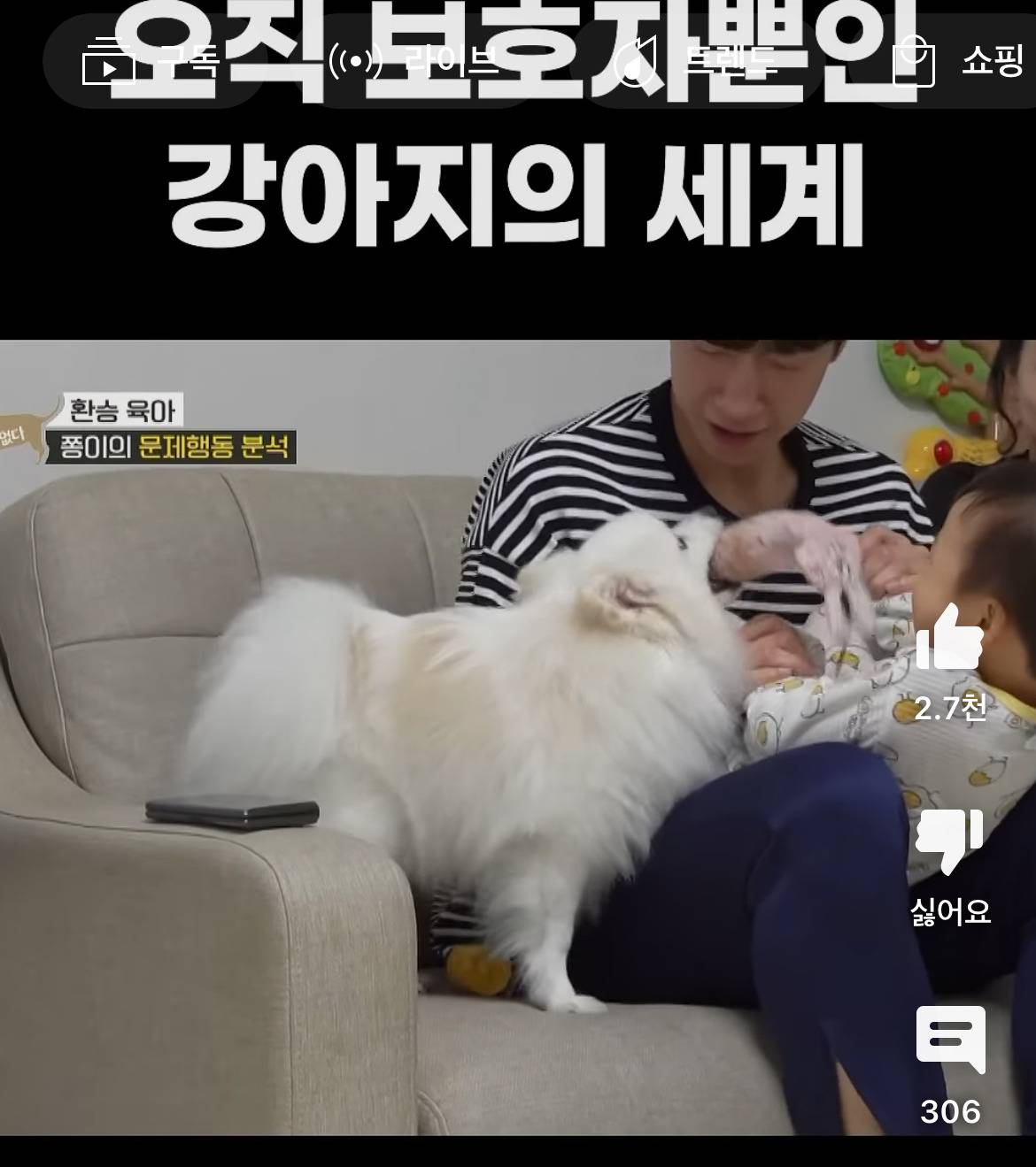 보자마자 오열 완전가능이라는 쫑이의 생활 | 인스티즈